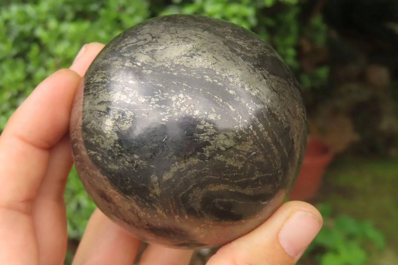 Polished Pharaoh Stone Spheres x 2 From Zimbabwe