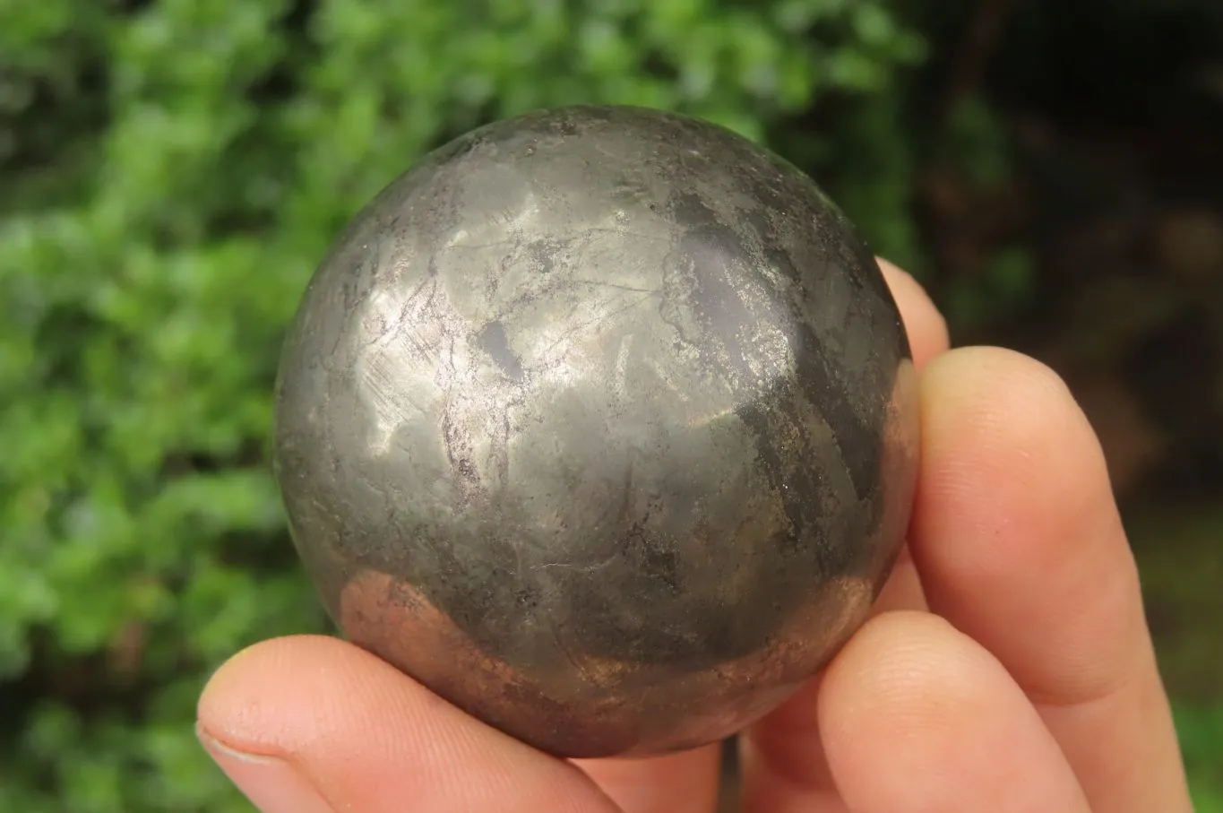 Polished Pharaoh Stone Spheres x 2 From Zimbabwe