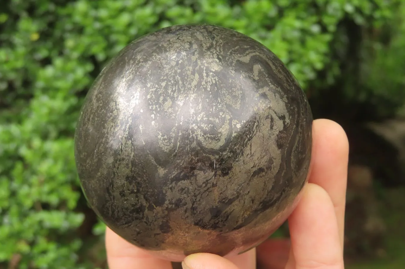 Polished Pharaoh Stone Spheres x 2 From Zimbabwe