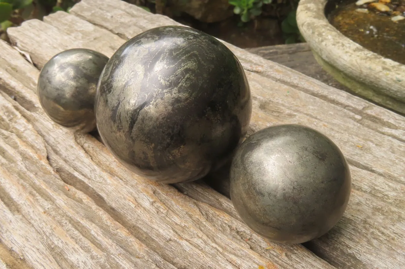 Polished Pharaoh Stone Spheres x 2 From Zimbabwe