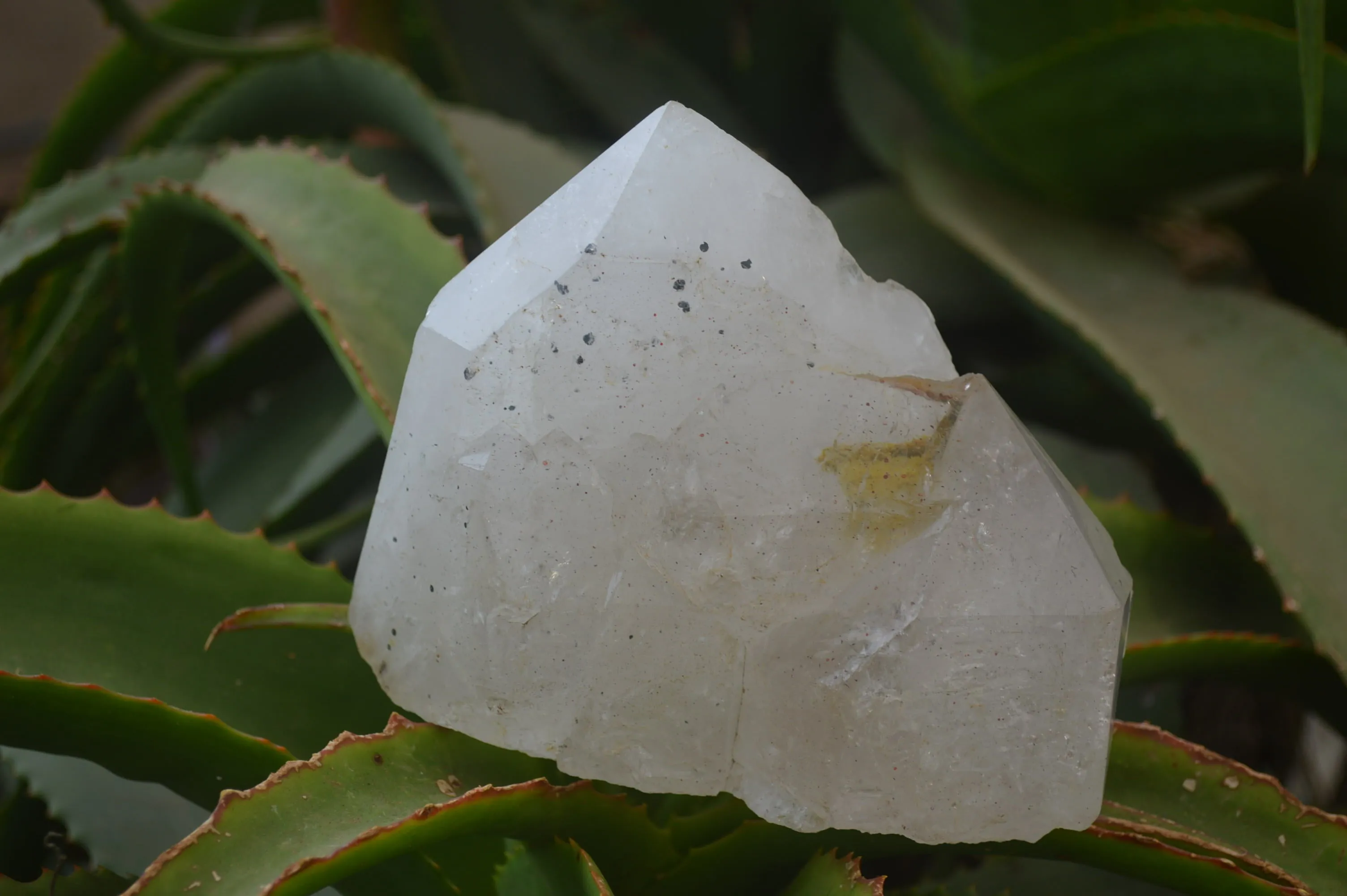 Polished Rare Large Pentium Quartz Crystal with Hematite Inclusions x 1 From Angola