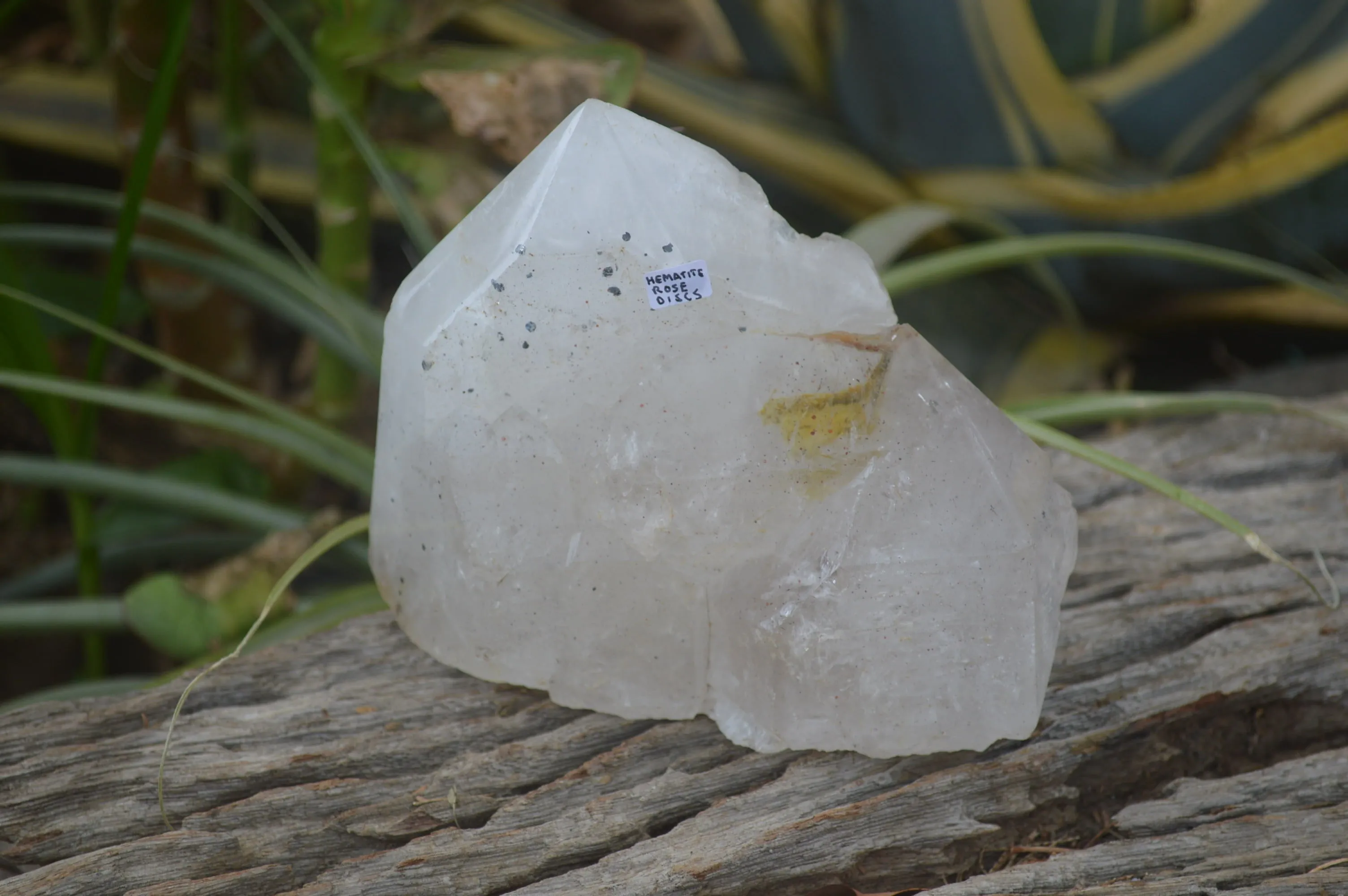 Polished Rare Large Pentium Quartz Crystal with Hematite Inclusions x 1 From Angola