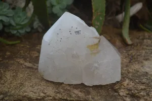 Polished Rare Large Pentium Quartz Crystal with Hematite Inclusions x 1 From Angola