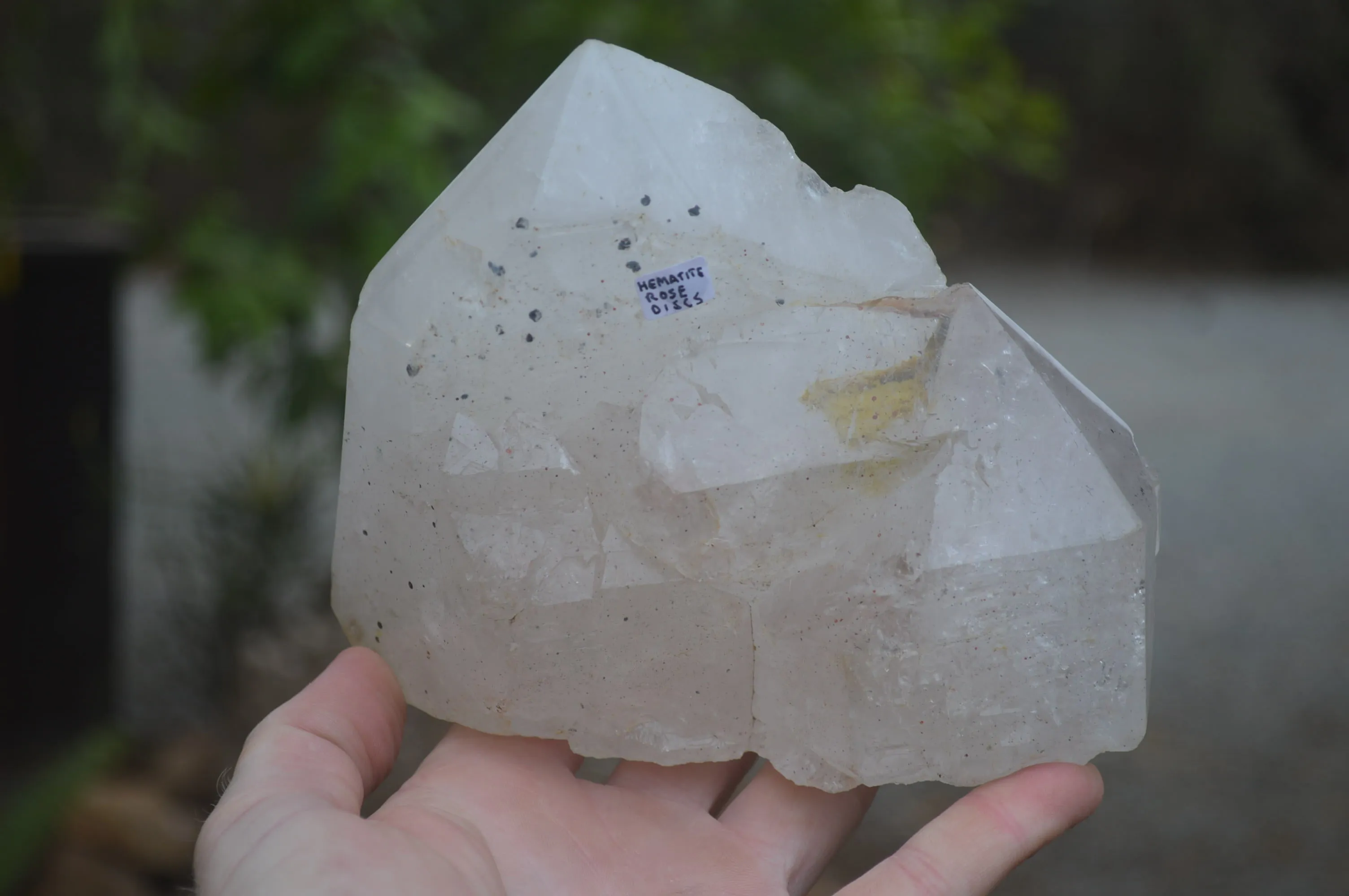 Polished Rare Large Pentium Quartz Crystal with Hematite Inclusions x 1 From Angola