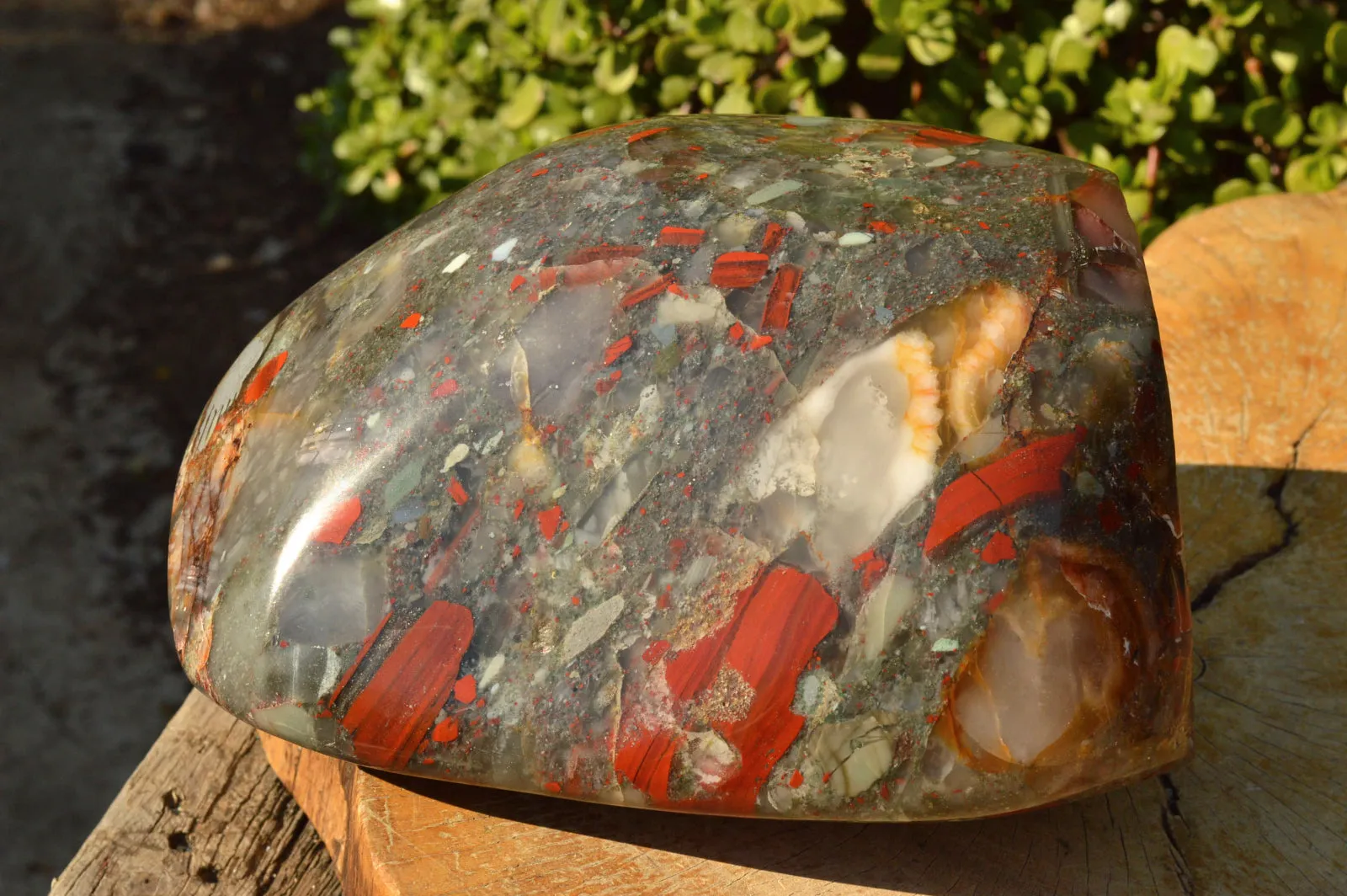 Polished XXL Bloodstone (Seftonite) Standing Free Form With Pyrite Specks  x 1 From Swaziland