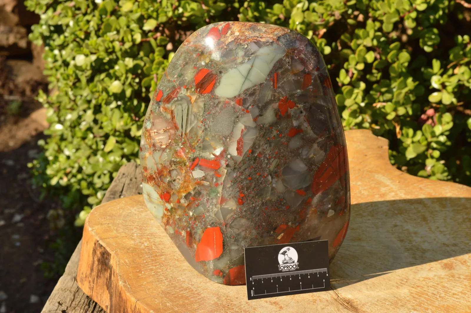 Polished XXL Bloodstone (Seftonite) Standing Free Form With Pyrite Specks  x 1 From Swaziland