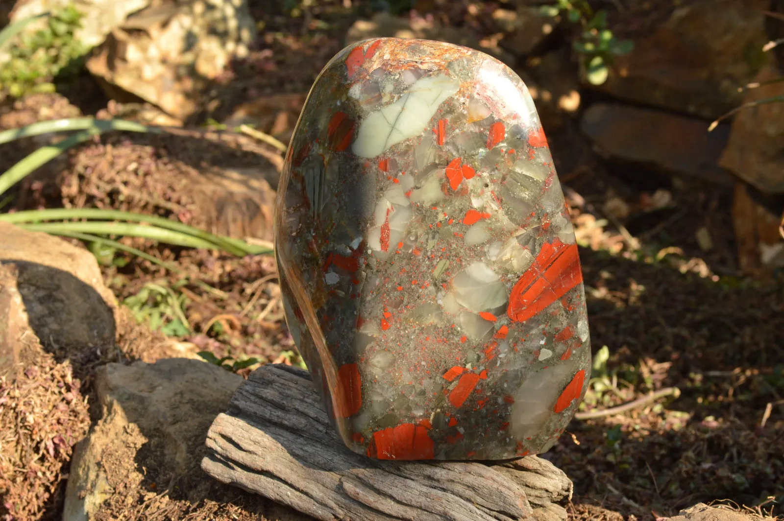 Polished XXL Bloodstone (Seftonite) Standing Free Form With Pyrite Specks  x 1 From Swaziland