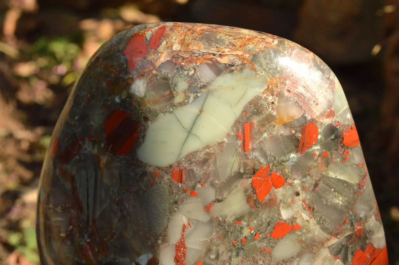 Polished XXL Bloodstone (Seftonite) Standing Free Form With Pyrite Specks  x 1 From Swaziland