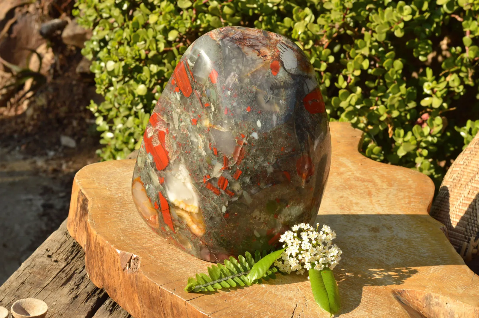 Polished XXL Bloodstone (Seftonite) Standing Free Form With Pyrite Specks  x 1 From Swaziland