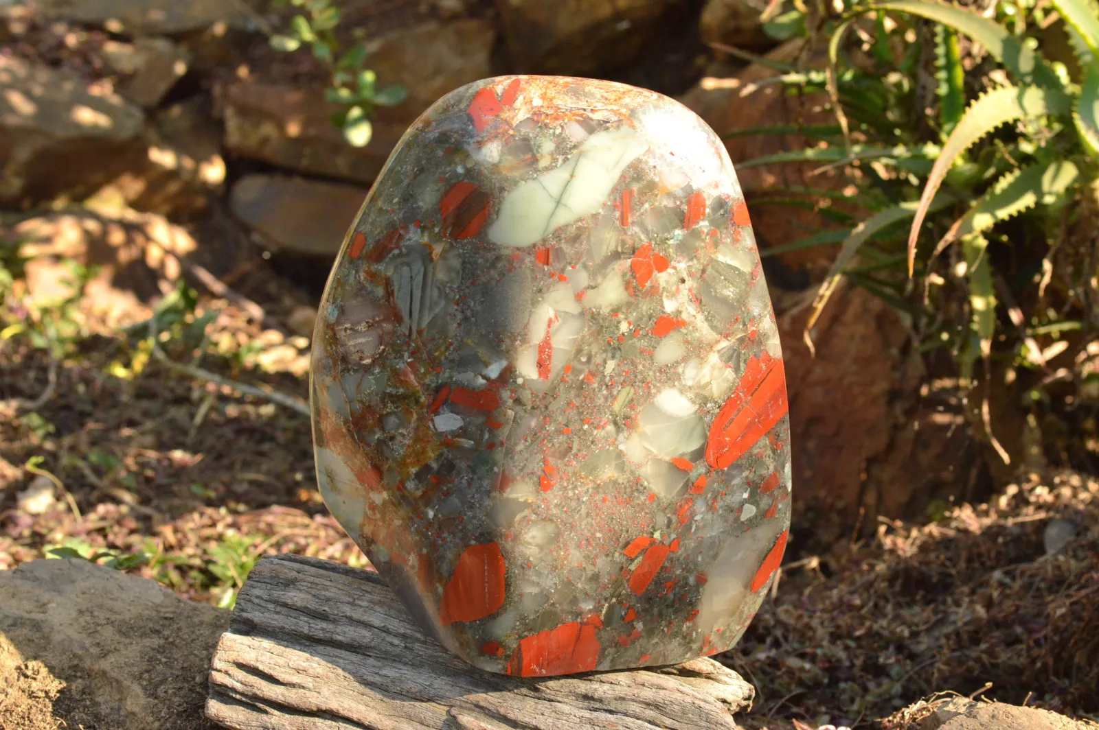 Polished XXL Bloodstone (Seftonite) Standing Free Form With Pyrite Specks  x 1 From Swaziland