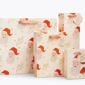 Santa Gift Bag