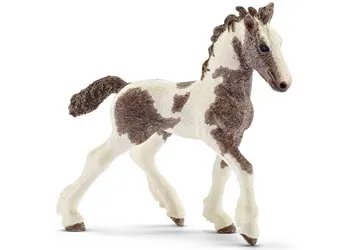 Schleich- Tinker Foal